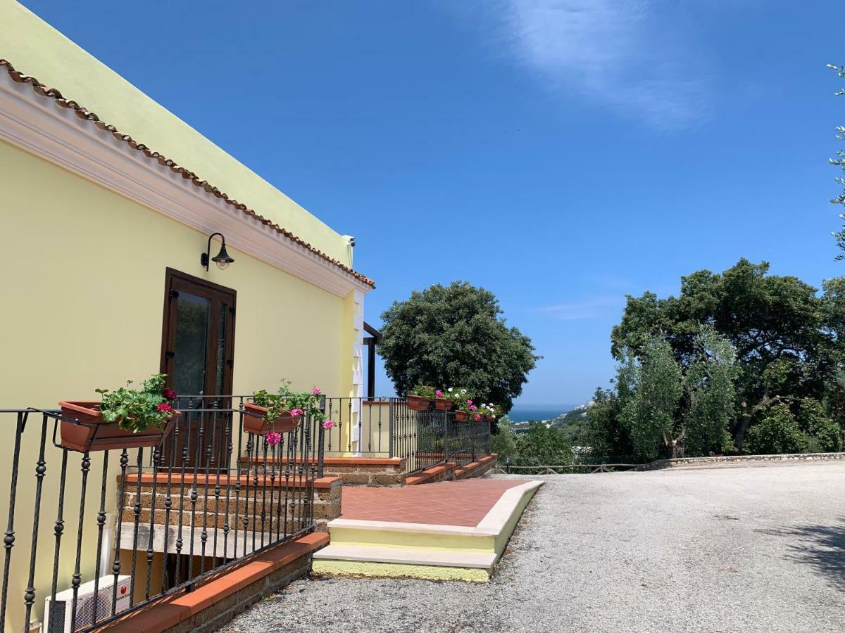 Parco Dei Limoni Guest House Peschici Exterior photo