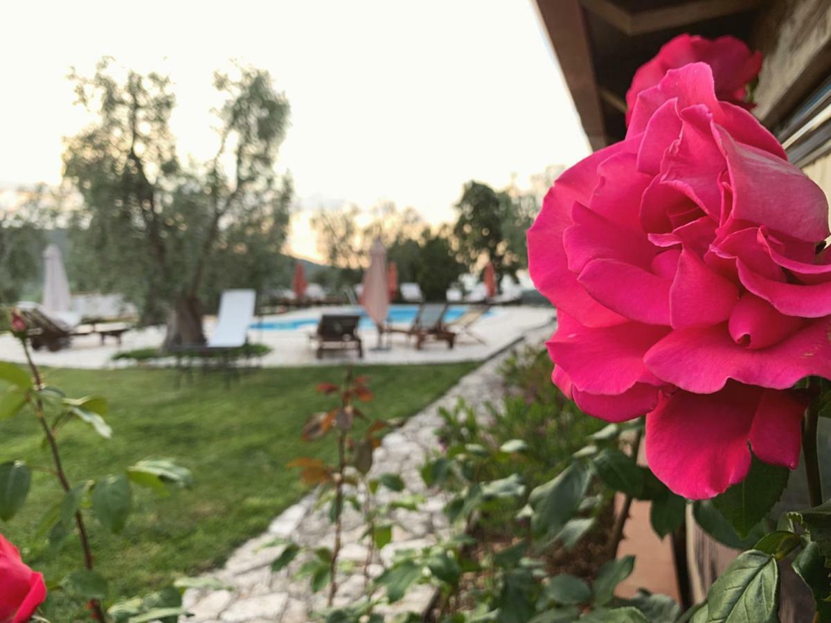 Parco Dei Limoni Guest House Peschici Exterior photo